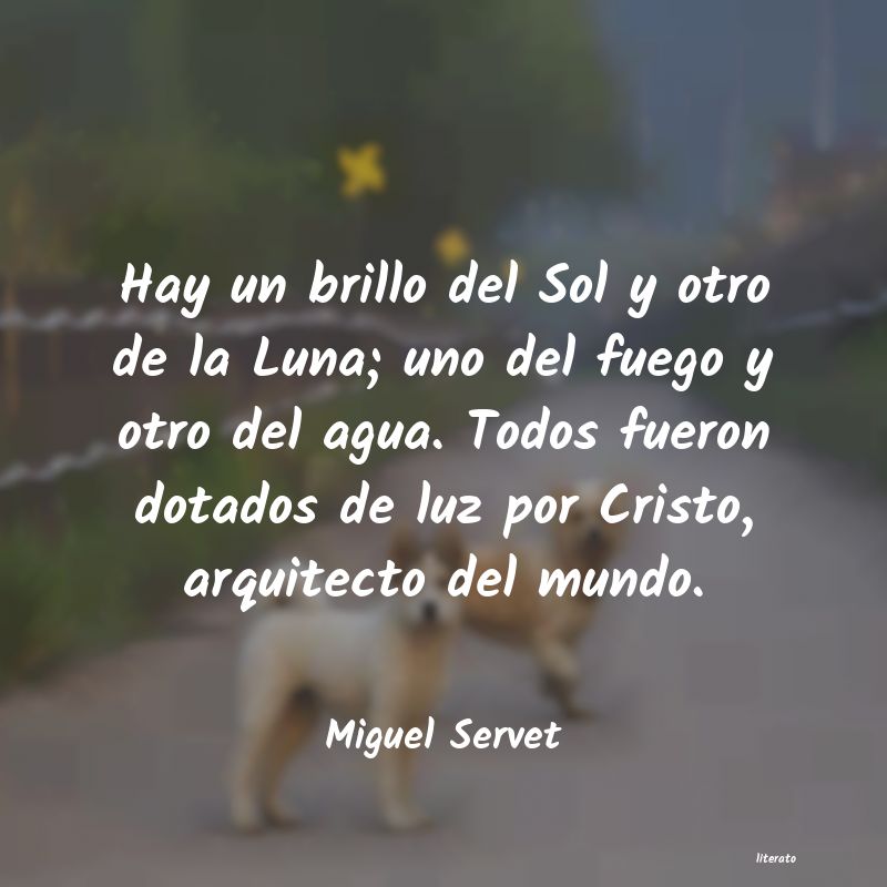 Frases de Miguel Servet