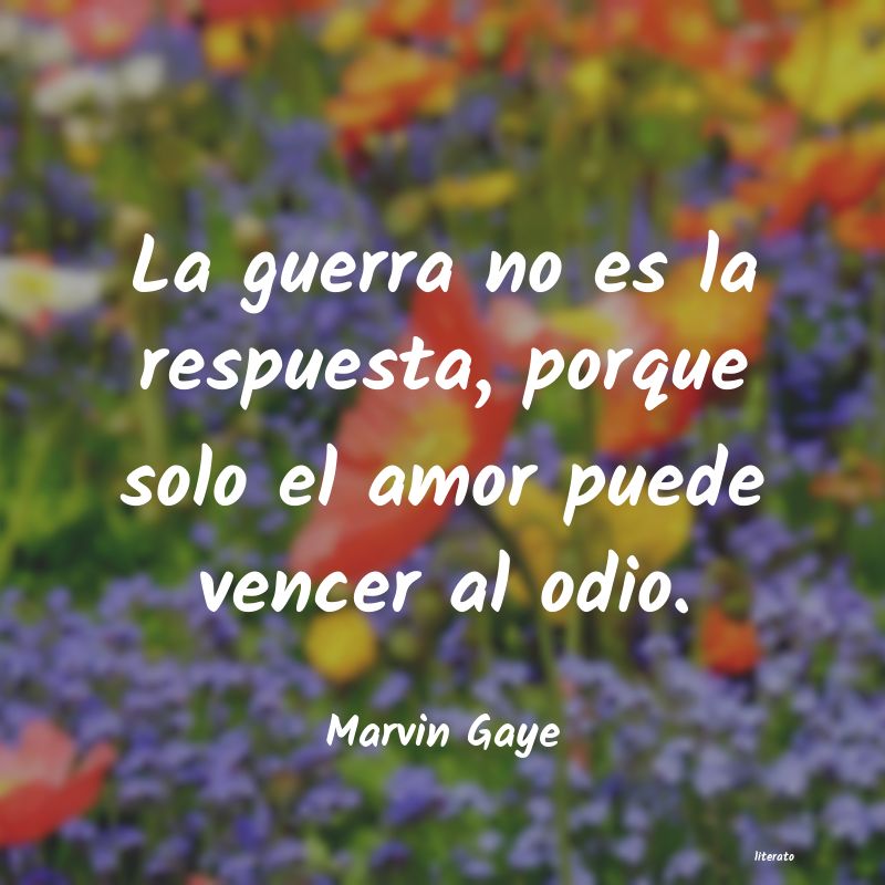 Frases de Marvin Gaye