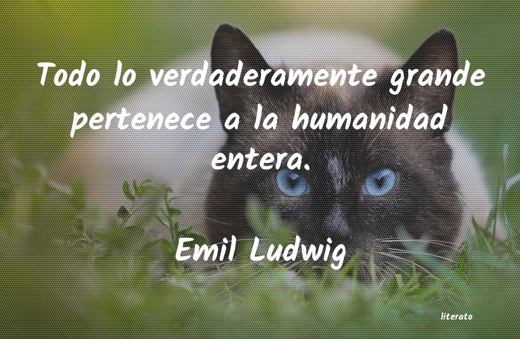 Frases de Emil Ludwig