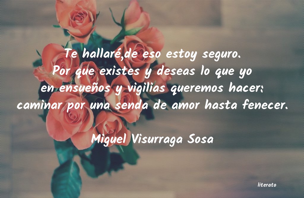 frases de Miguel Visurraga Sosa