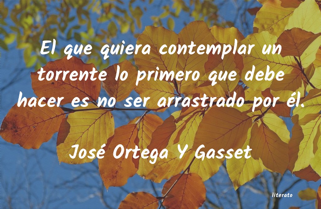 Frases de José Ortega Y Gasset