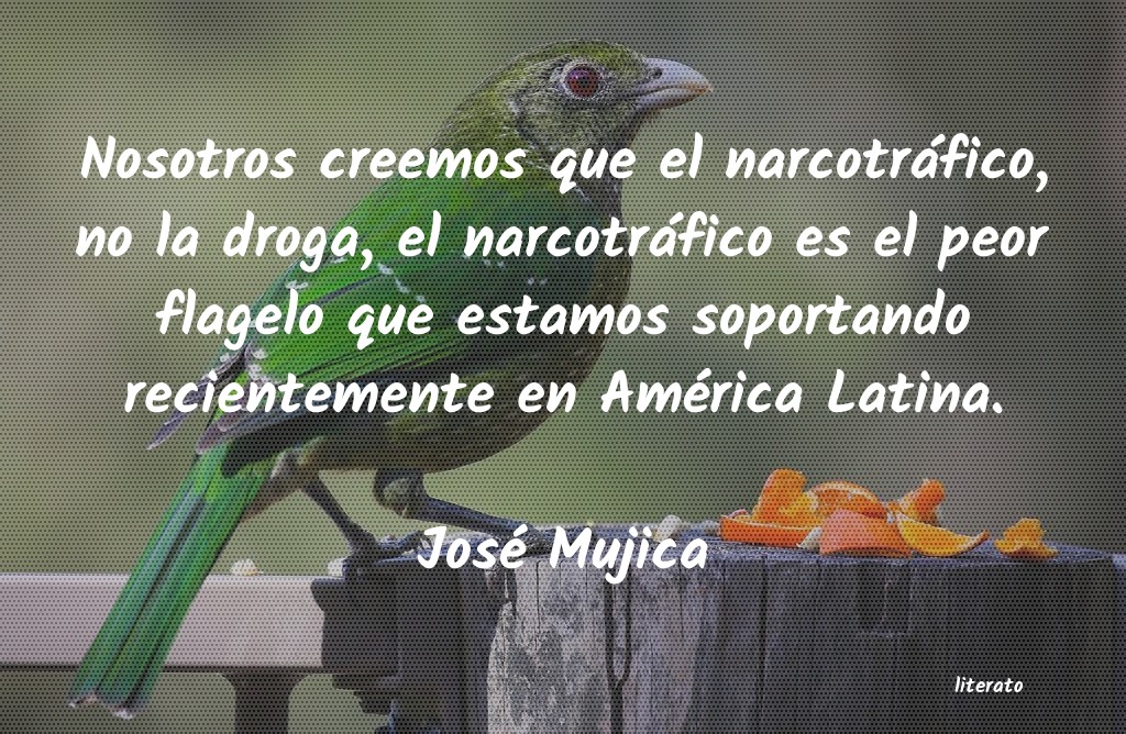 Frases de José Mujica