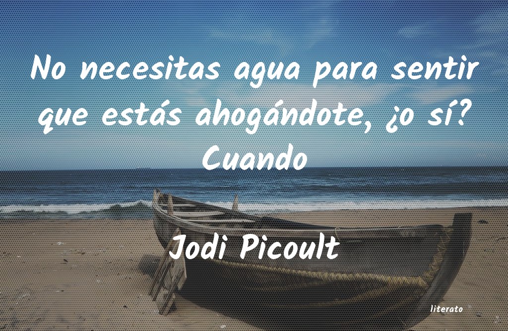 Frases de Jodi Picoult