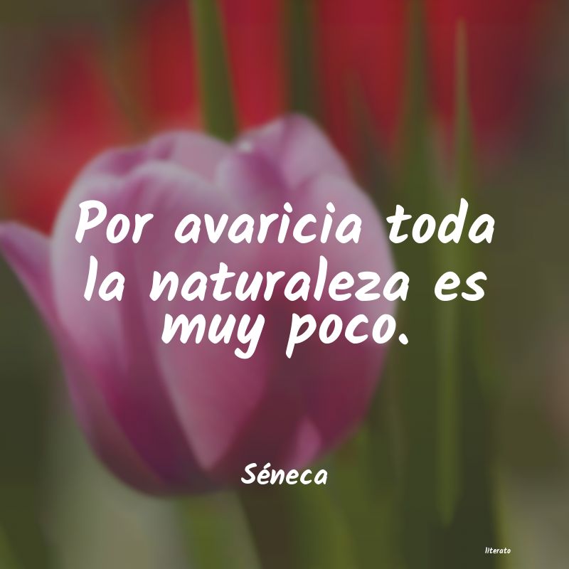 frases de Séneca