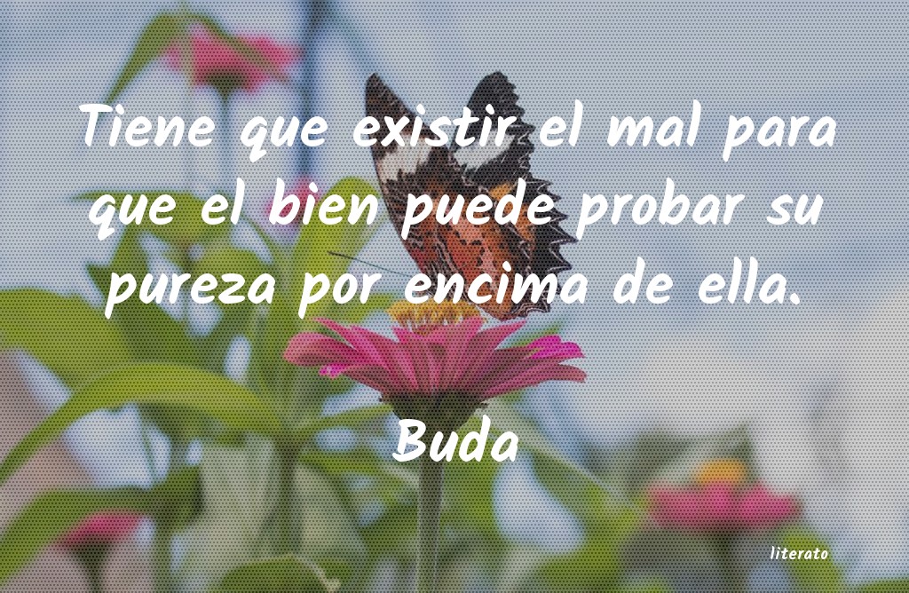 frases de Buda