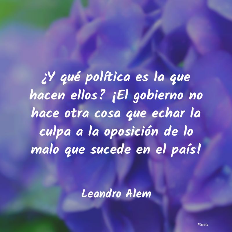 frases de Leandro Alem