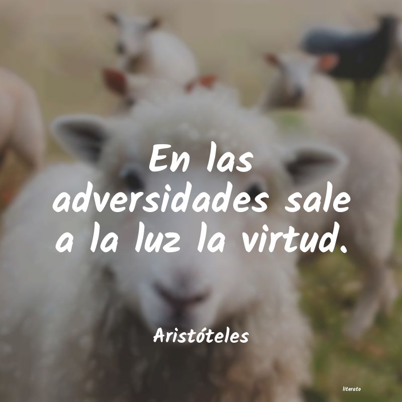 Frases de Aristóteles