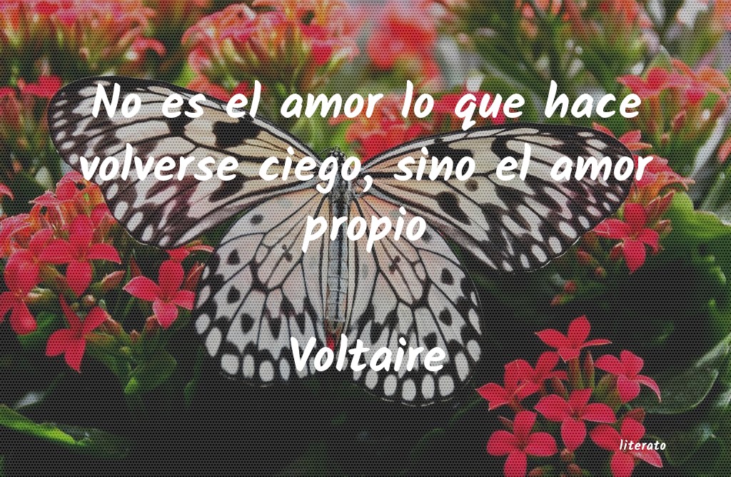 frases de Voltaire