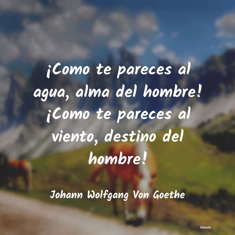 Frases de Johann Wolfgang Von Goethe