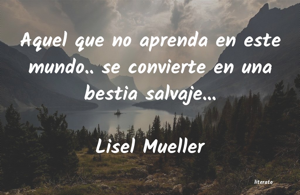 Frases de Lisel Mueller