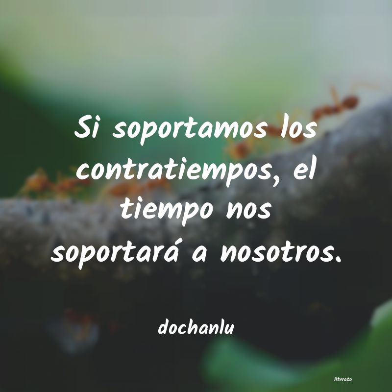 Frases de dochanlu