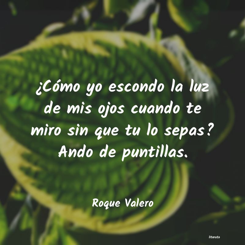 frases de Roque Valero