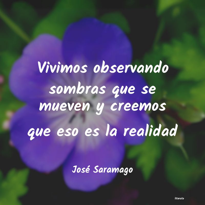 frases de José Saramago