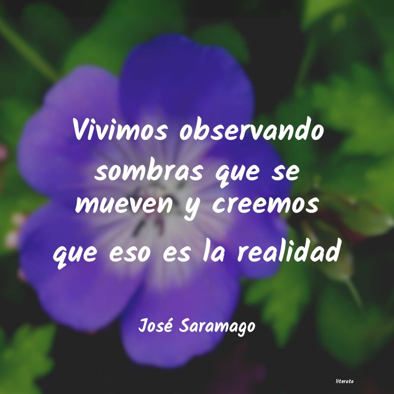 Frases de José Saramago