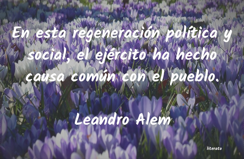 frases de Leandro Alem