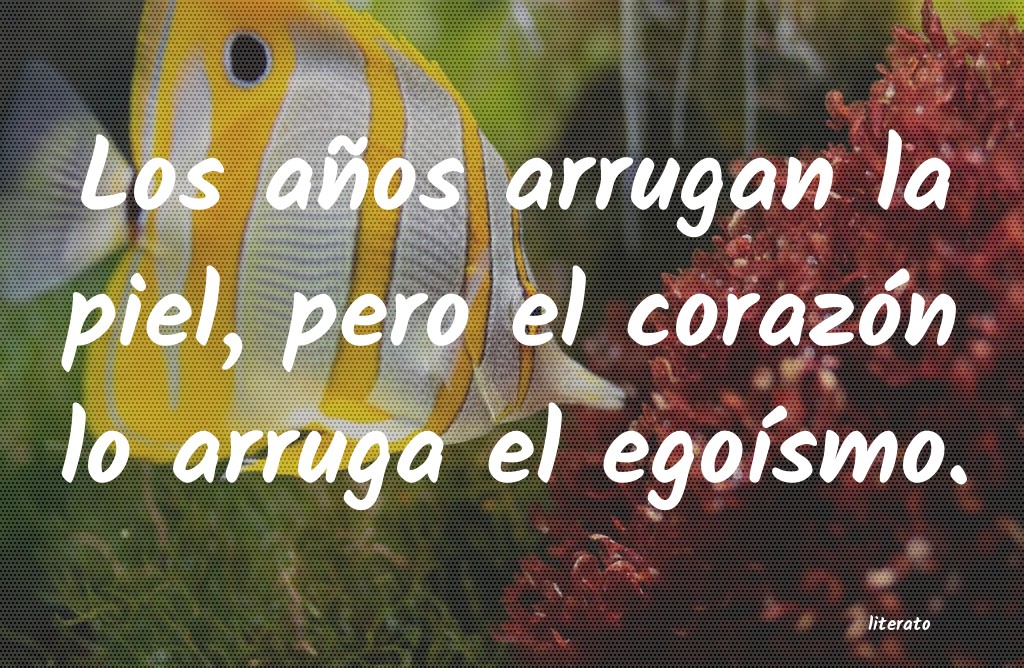 frases