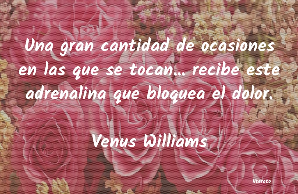 frases de Venus Williams