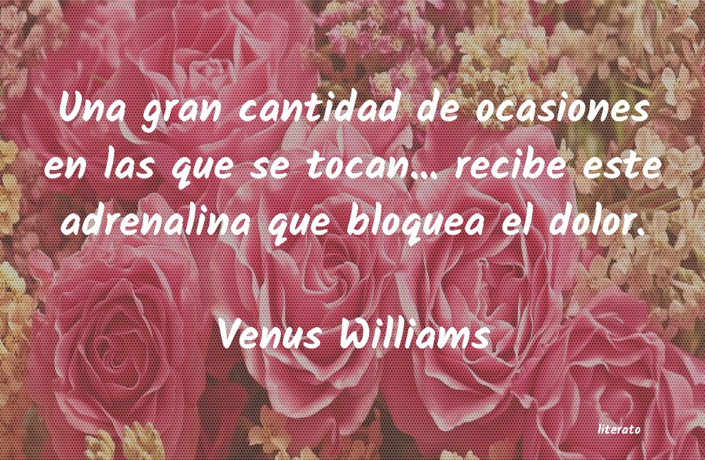 Frases de Venus Williams