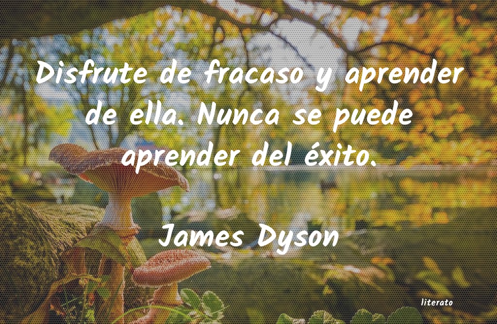 frases de James Dyson