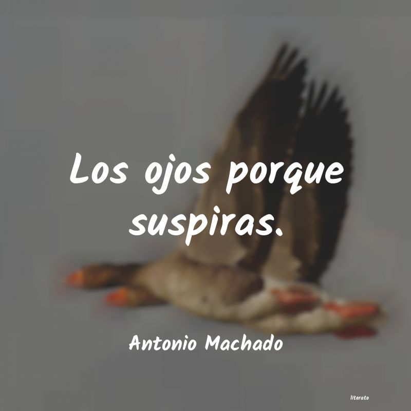 Frases de Antonio Machado