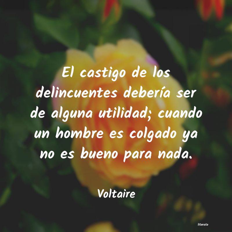 Frases de Voltaire