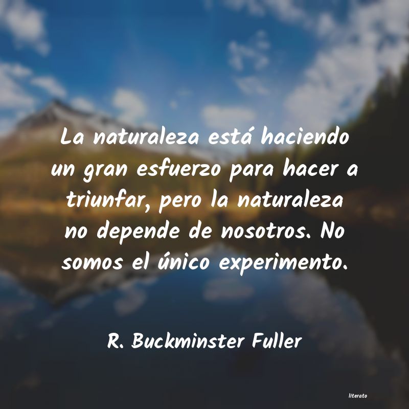 Frases de R. Buckminster Fuller