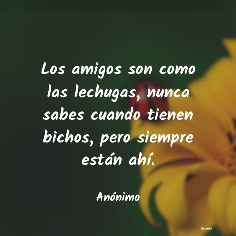 frases