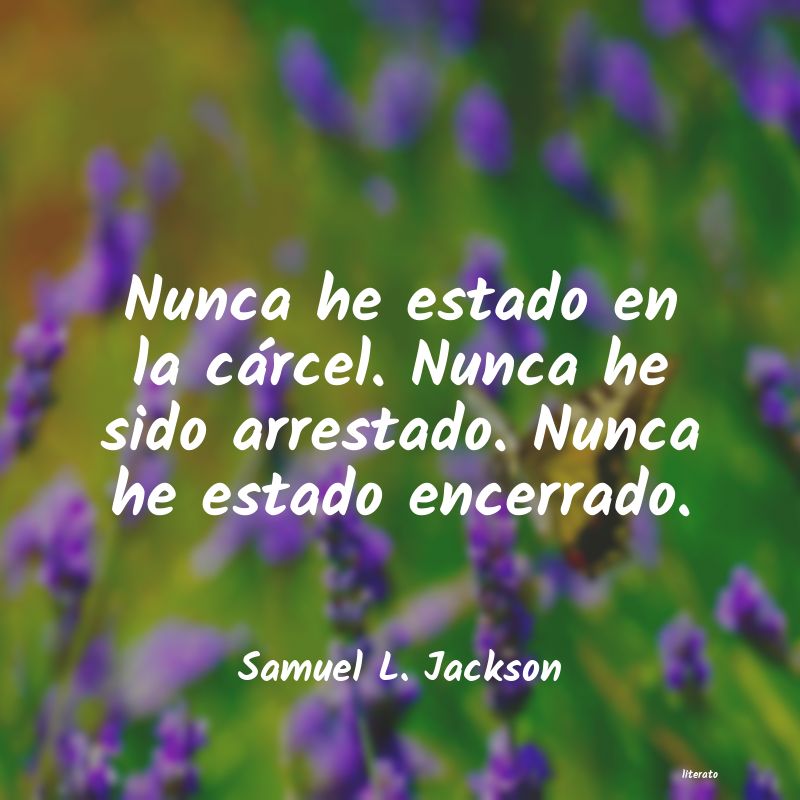 Frases de Samuel L. Jackson