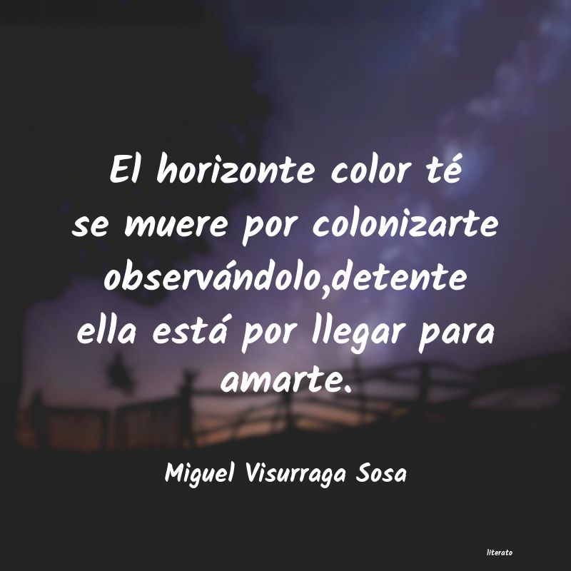 frases de Miguel Visurraga Sosa