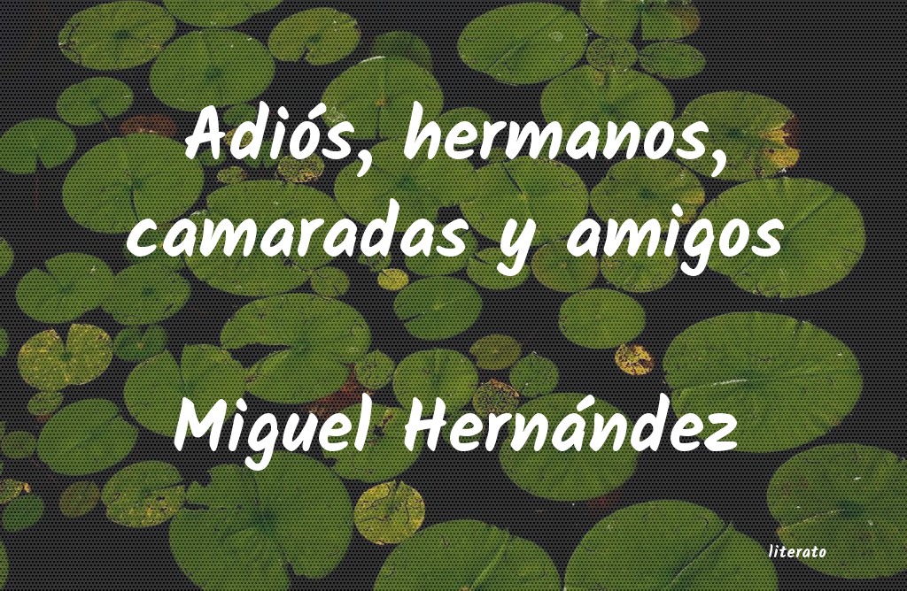 Frases de Miguel Hernández