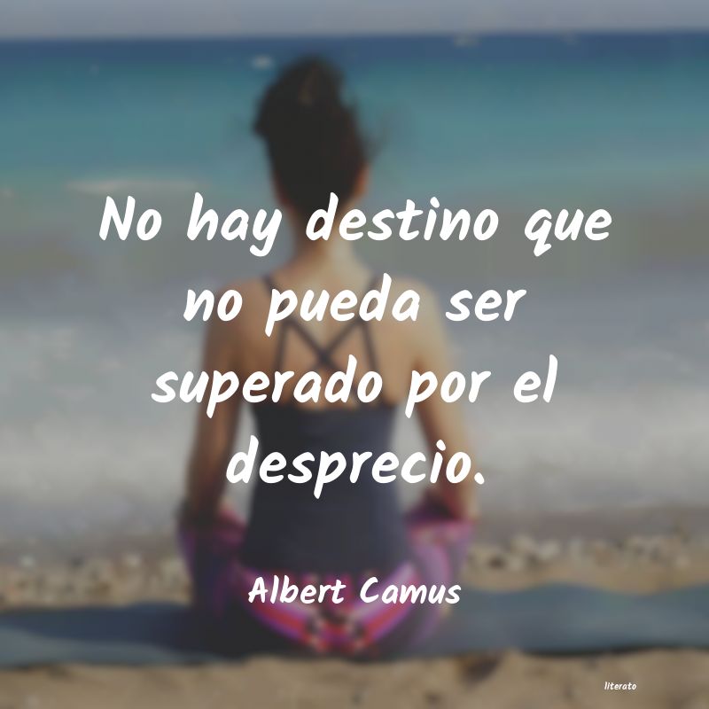 frases de Albert Camus