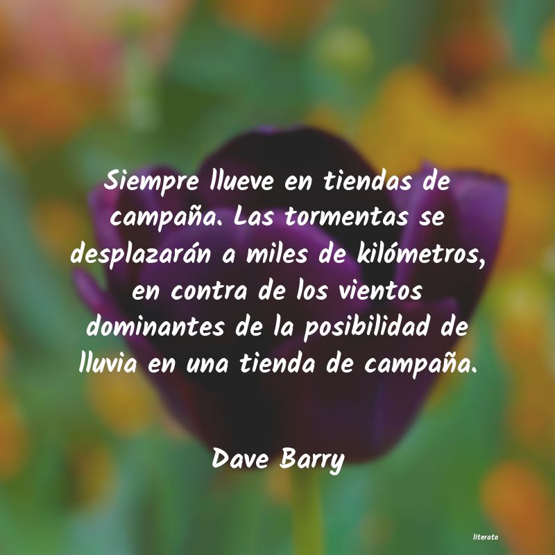 Frases de Dave Barry