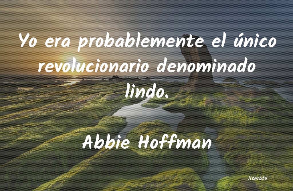Frases de Abbie Hoffman