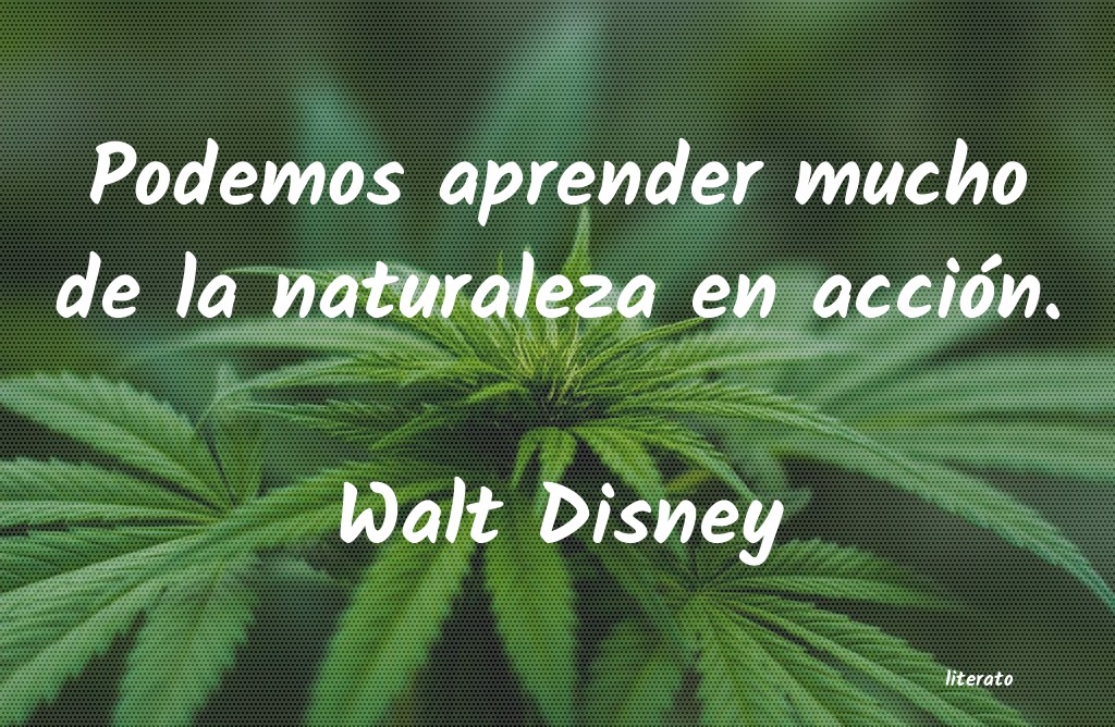 Frases de Walt Disney