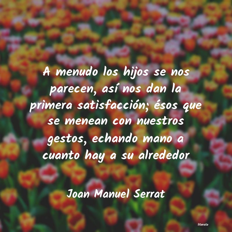 Frases de Joan Manuel Serrat