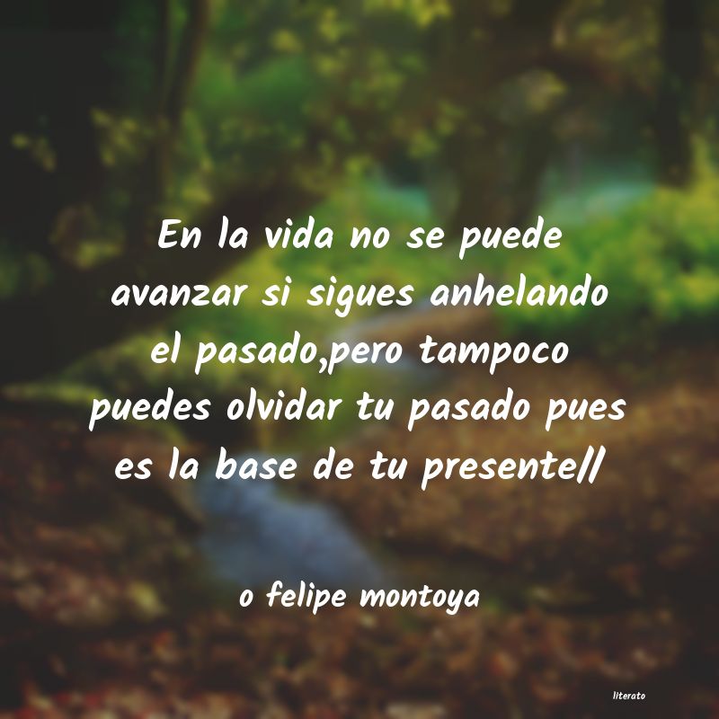 Frases de o felipe montoya