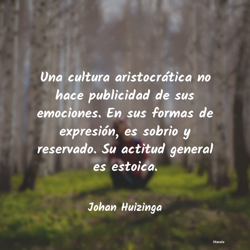 Frases de Johan Huizinga