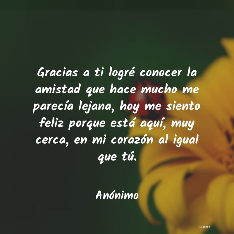 frases