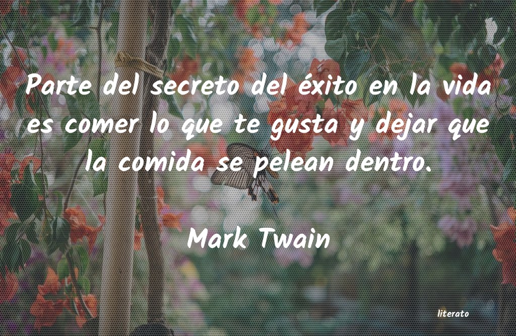 frases de Mark Twain