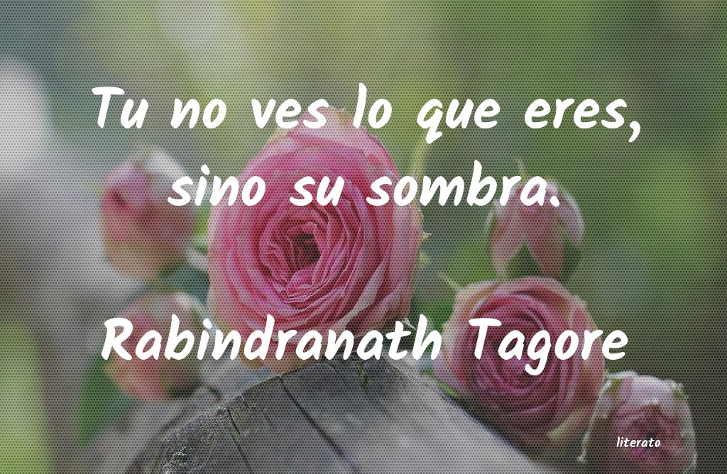 Frases de Rabindranath Tagore