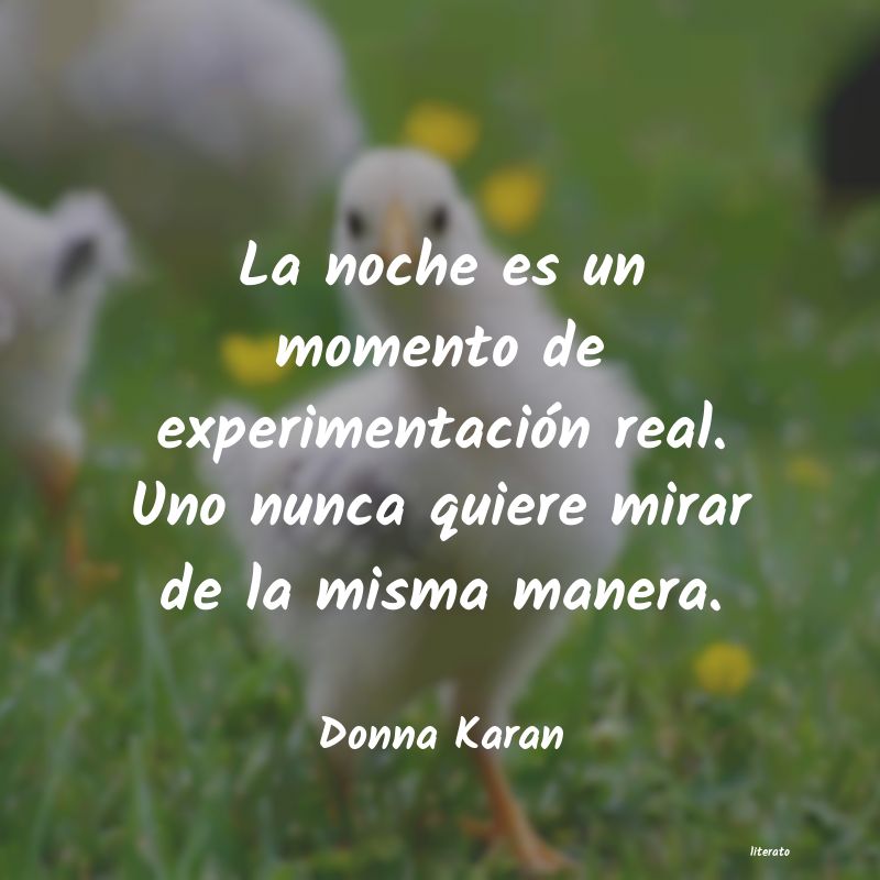 frases de Donna Karan