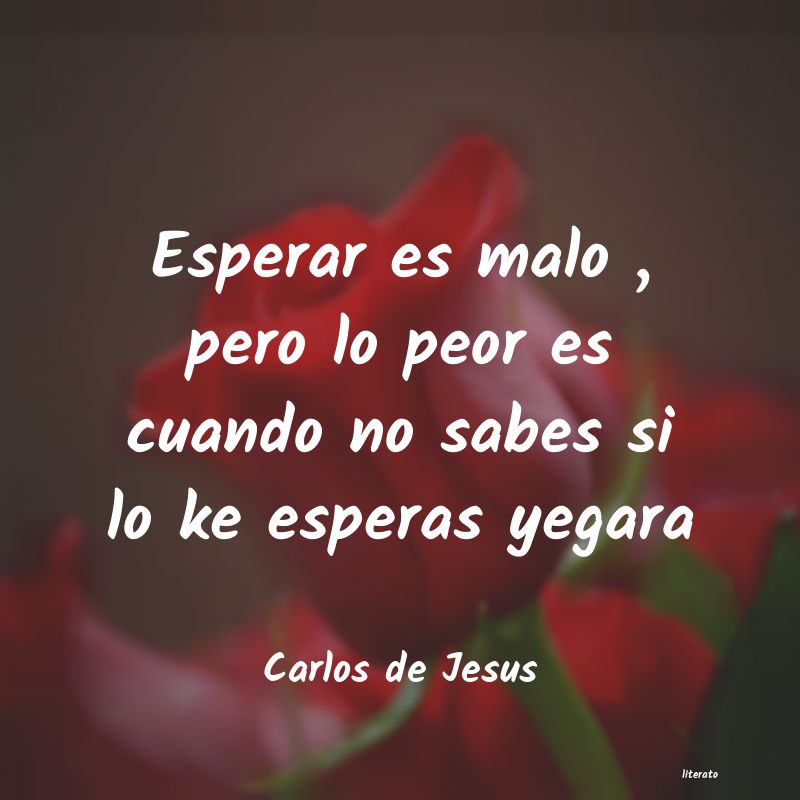 frases de Carlos de Jesus