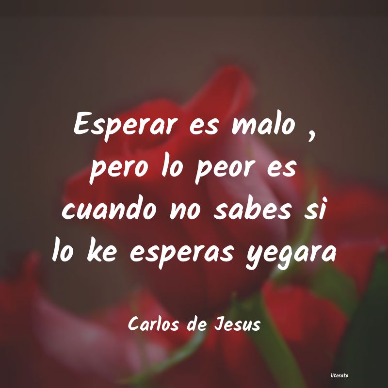 Frases de Carlos de Jesus