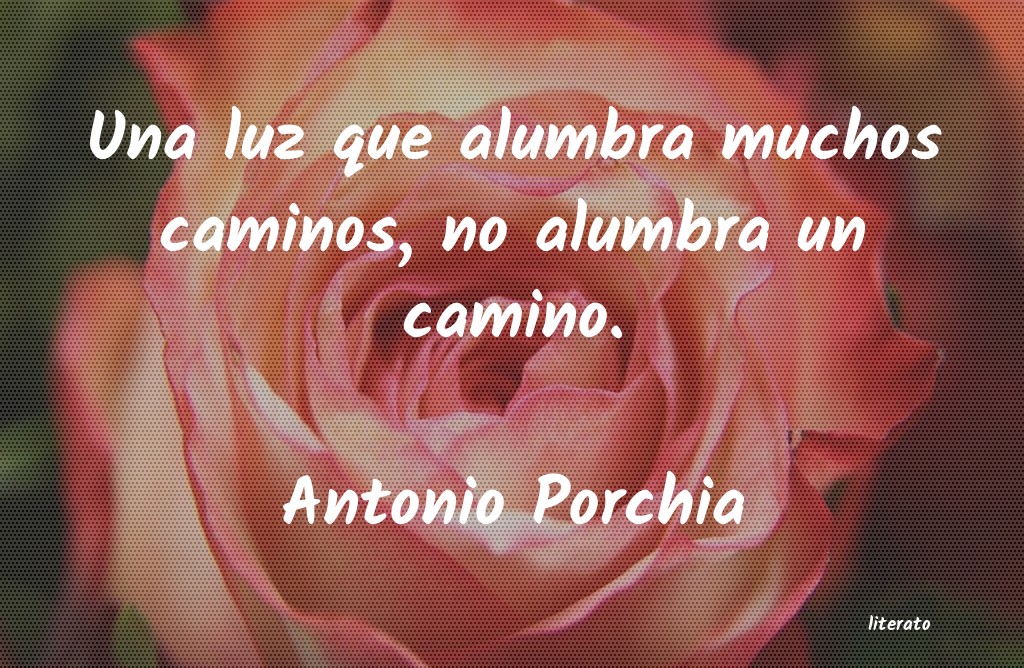 Frases de Antonio Porchia