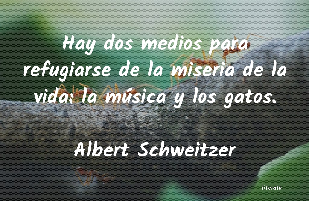 Frases de Albert Schweitzer