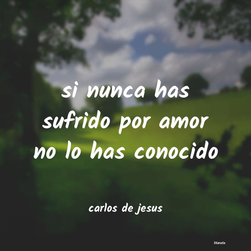 frases de carlos de jesus