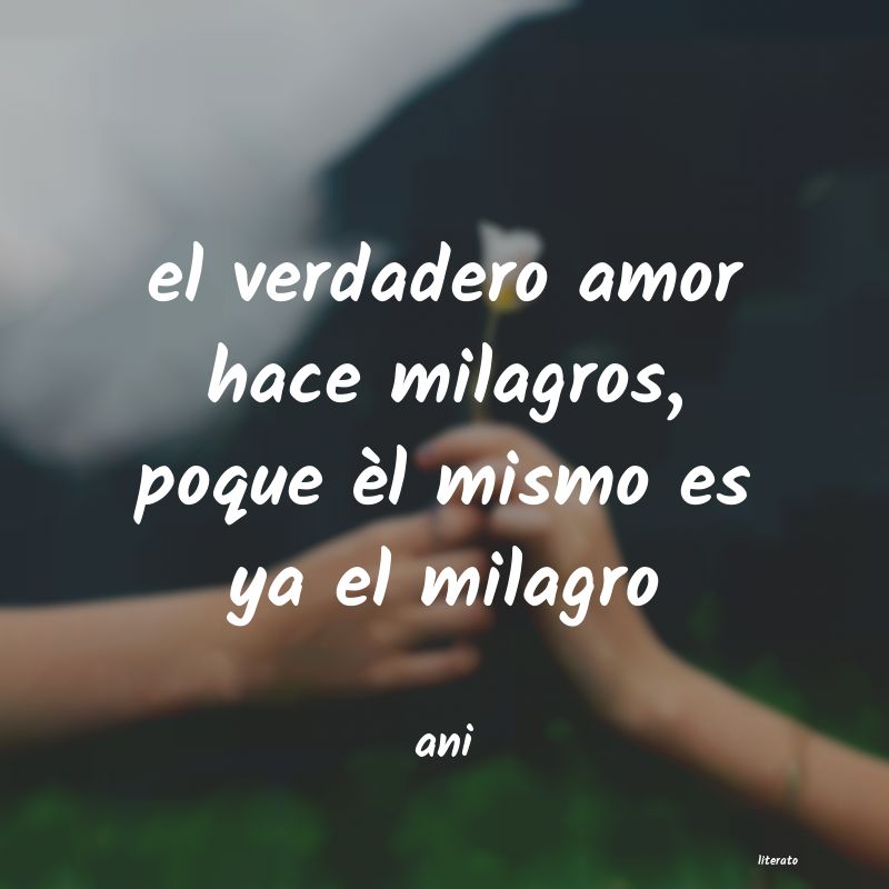 frases de ani