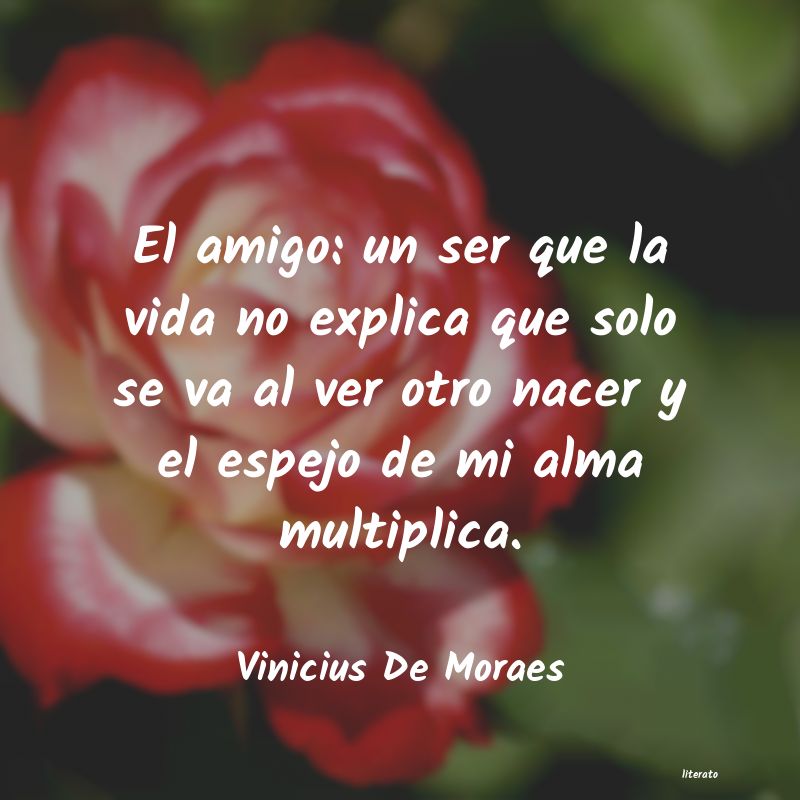 Frases de Vinicius De Moraes