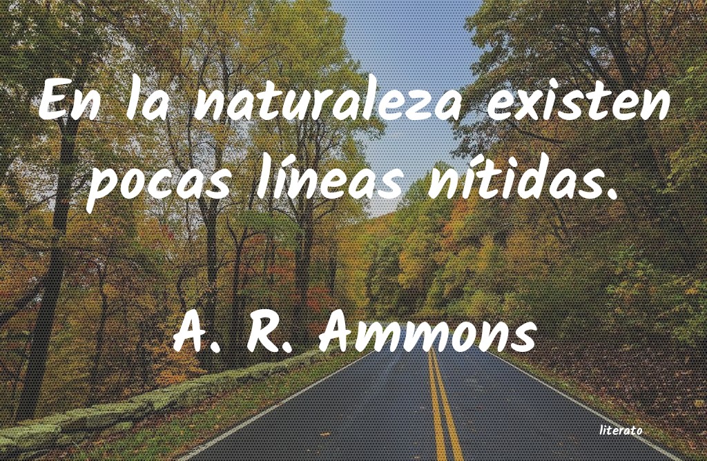 Frases de A. R. Ammons