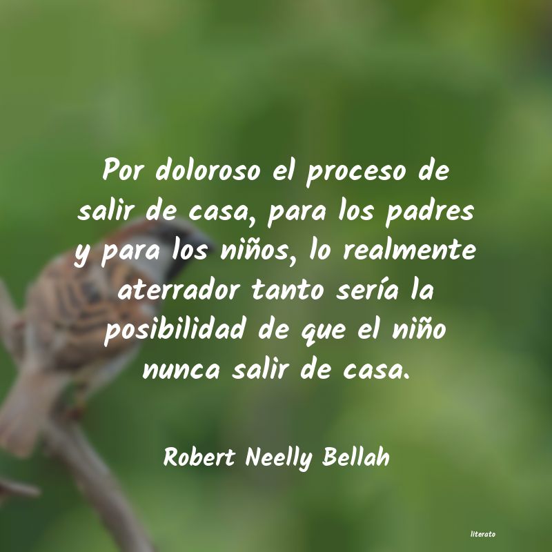 Frases de Robert Neelly Bellah
